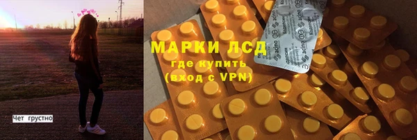 трава Магас