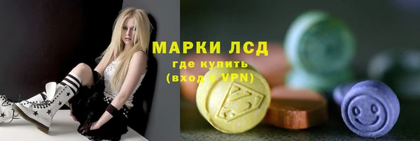 трава Магас