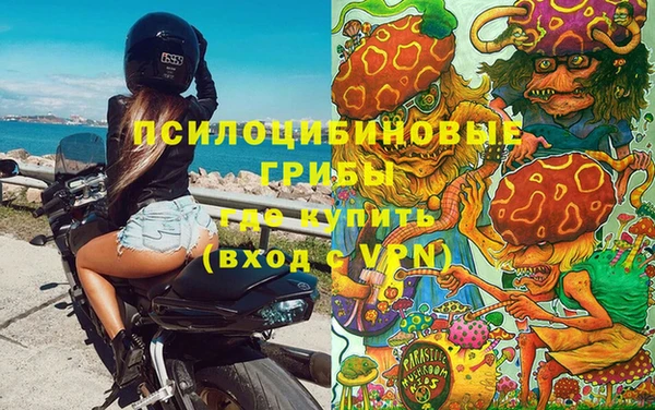 трава Магас