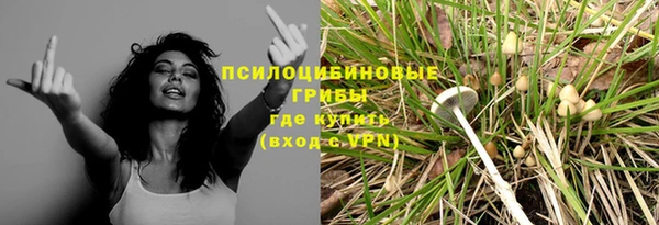 трава Магас