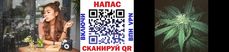 Шишки марихуана сатива  Калининец 